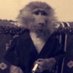 Airemann “Aire” de Ridderlijke (@airebruv) Twitter profile photo Airemann “Aire” de Ridderlijke (@airebruv) Twitter profile photo