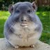 r (@r2581583463132) Twitter profile photo r (@r2581583463132) Twitter profile photo