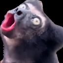 Av8tarSt8's profile picture. We are Throast