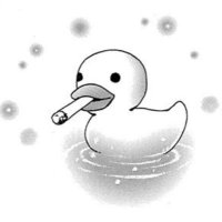 s (@shnsk_shiris) 's Twitter Profile