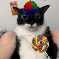 Adzy (@adzy__) 's Twitter Profile