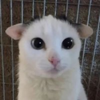 Сушняк (@bu_bu_lol) 's Twitter Profile Photo Сушняк (@bu_bu_lol) 's Twitter Profile Photo
