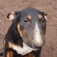 Whit3pinkmann🔞 (@whit3pinkmann) 's Twitter Profile Photo