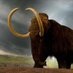 Woolly Mammoth (@mammoth_posting) Twitter profile photo Woolly Mammoth (@mammoth_posting) Twitter profile photo