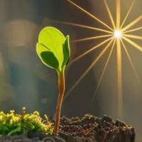 be great! (@auntdoats) 's Twitter Profile Photo