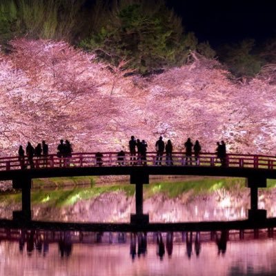 toaruchankonabe's profile picture. webデザインの人