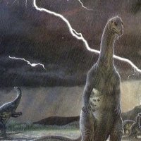 Arcrux (@vanfleet02) 's Twitter Profile