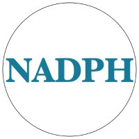 NADPH (@nadph_org) 's Twitter Profile