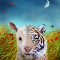 Mirudake (@mirudake2b) 's Twitter Profile Photo