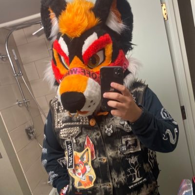 Tacofen 🐕さんのプロフィール画像