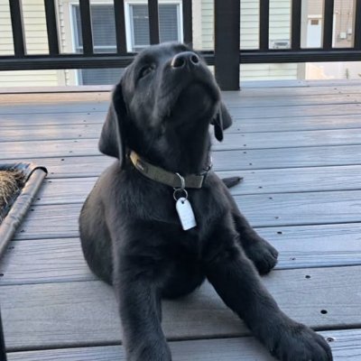 inxcyd's profile picture. 