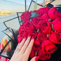 ȞÄMŸ ÄBĐËËŅ👑 (@hamy_abdeen2) Twitter profile photo