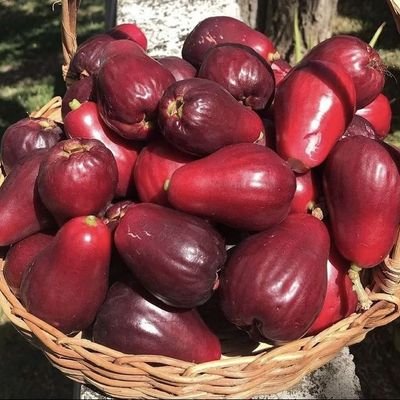jambojeff's profile picture. jambo proibido 🍑 🚫