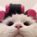 r (@rojincagli) Twitter profile photo r (@rojincagli) Twitter profile photo