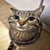ale (@tbhinstantly) Twitter profile photo ale (@tbhinstantly) Twitter profile photo