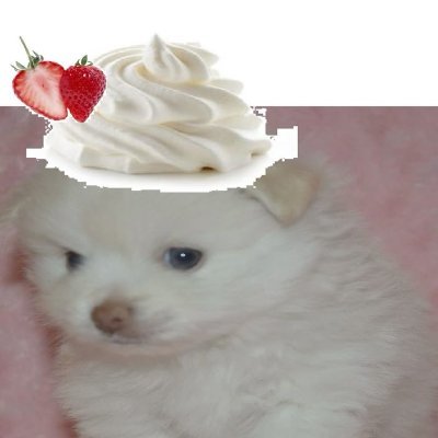 Yasminaa009's profile picture. 15 
#edtwt #shtwt #recoverytwt