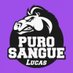SCUDERIA PUROSANGUE ๐ (@purosanguelucas) Twitter profile photo SCUDERIA PUROSANGUE ๐ (@purosanguelucas) Twitter profile photo