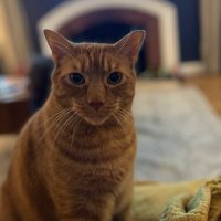 j nebraska (@jnebraska) 's Twitter Profile