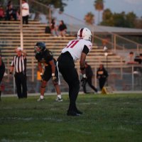 DanielAdelson11 (@dadelson11) 's Twitter Profile