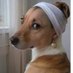 Pey (@peytonjuanita) Twitter profile photo Pey (@peytonjuanita) Twitter profile photo
