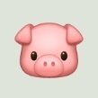 oinkoinkoinkoin's profile picture. 