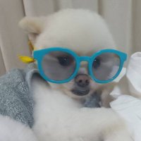 りょー (@p1ixyuyyin64050) 's Twitter Profile