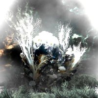 芥川 (@akutagawa_ninja) 's Twitter Profile Photo