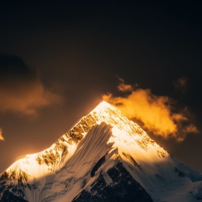 MozWang's profile picture.