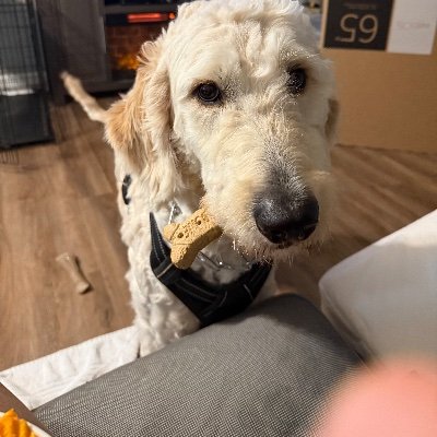 GregBell460045's profile picture. 