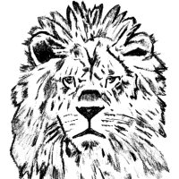 OSKURIER (@oskurier) 's Twitter Profile