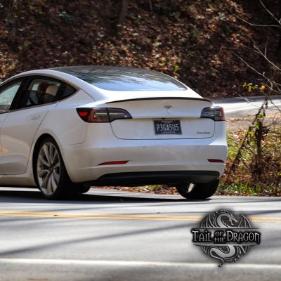 Husband, Father, Patriot, Engineer, Tesla owner, Blastar fan