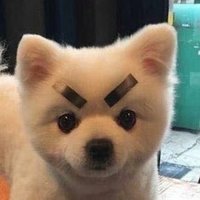 ์ง๊ฐ๐ฏ๏ธ (@intuition0_0) 's Twitter Profile