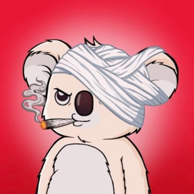 NikhilVasista2's profile picture. 