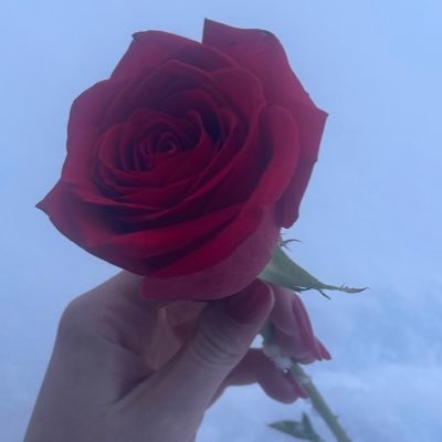 javajunkie18's profile picture. 
