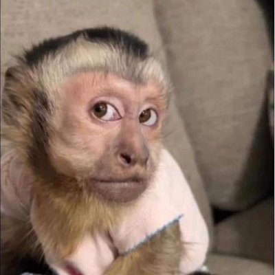 docshoesmari's profile picture. Não sou desocupada mas as vezes é preciso ser.