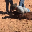 Preston Stark - @OlePStarke - Twitter