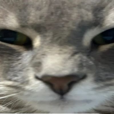 stooka2077's profile picture. No