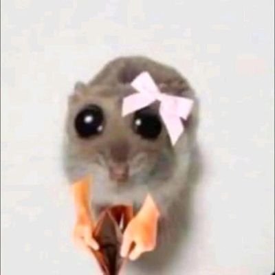 focoxinha_'s profile picture. ˚ʚ♡ɞ˚..𝒍𝒆𝒕 𝒊𝒕 𝒓𝒖𝒏 𝒎𝒚 𝒎𝒐𝒐𝒅..♡
🌻
Necessita-se de Rivotril