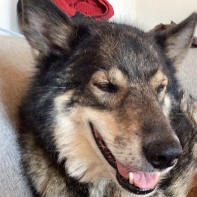 raincloudtrb's profile picture. Just some guy, you know...