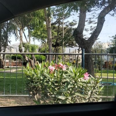 Alejandrollm2's profile picture. 