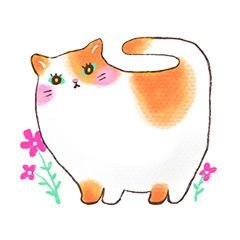 キキ🦋さんのプロフィール画像