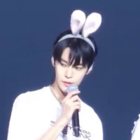 doyoung's firefly🍀 (@dyyoudoinggreat) 's Twitter Profile Photo doyoung's firefly🍀 (@dyyoudoinggreat) 's Twitter Profile Photo