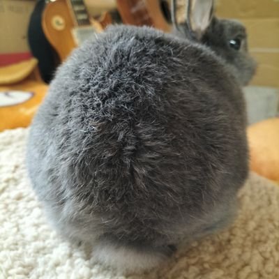 nwitterr's profile picture. 