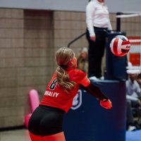 Avery Whaley (@avery_whaley3) 's Twitter Profile