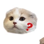 取引垢 cs、チケ中心