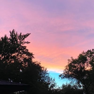 WWG1WGA_vibes's profile picture. .