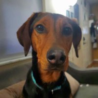 Jennifer Hepburn (@jennifer4coffee) 's Twitter Profile Photo