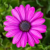 Susan (@susan_662) 's Twitter Profile