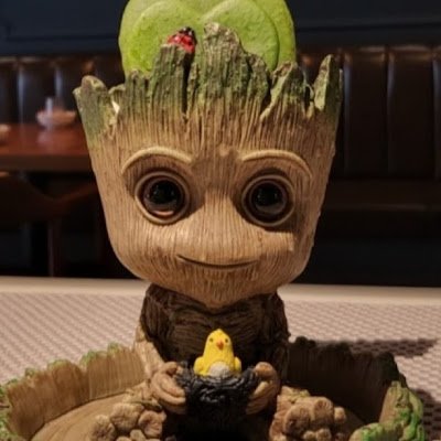 jayulounye46461's profile picture. 