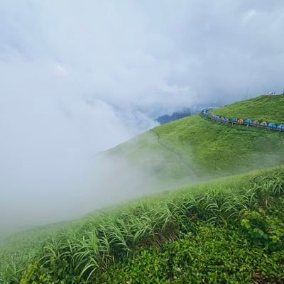 qianghe79627613's profile picture. 立场使人弱智｜不做短线｜不管闲事｜不闲聊｜一言不合就拉黑｜✈️号@KCWD1993